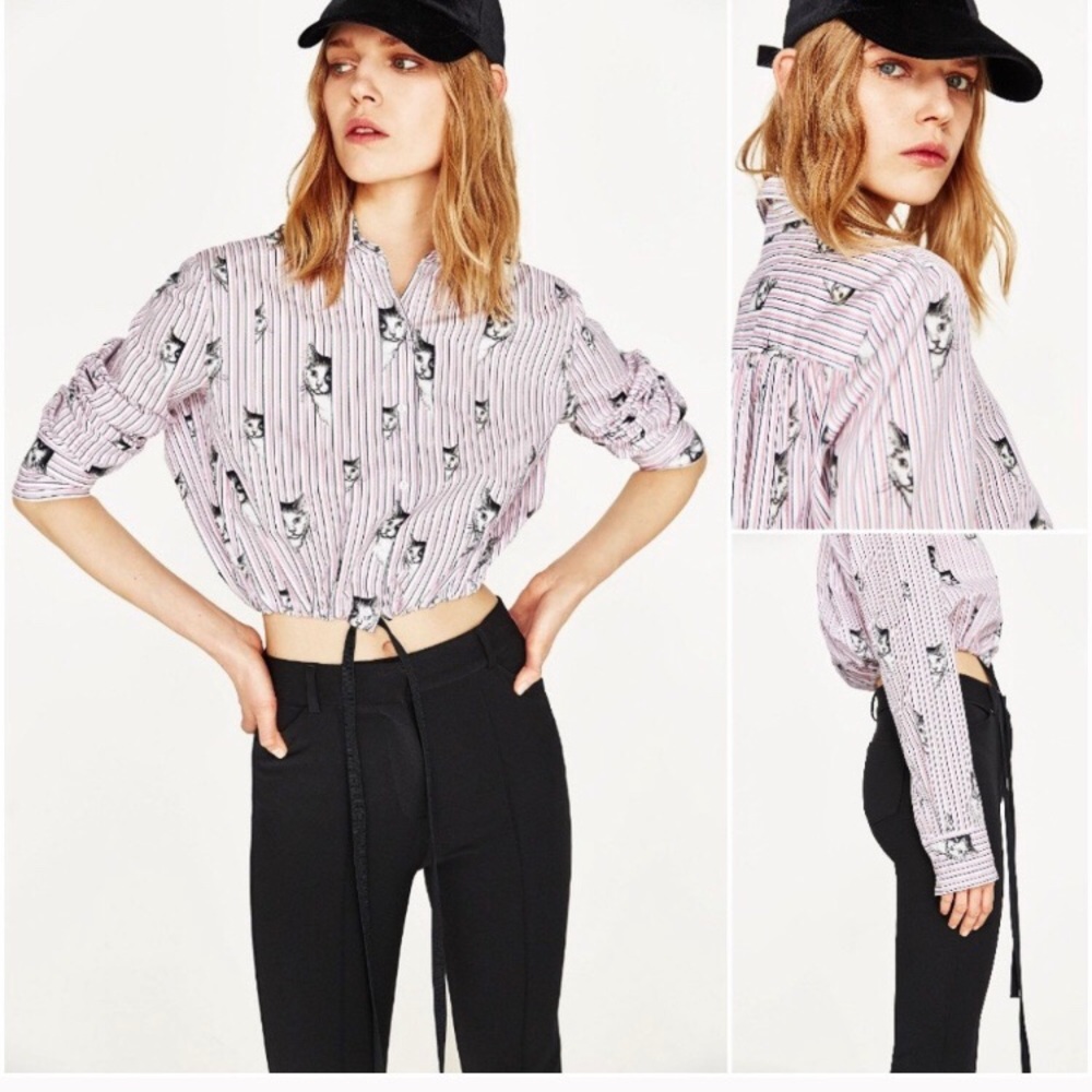 Zara cat stripped crop shirt